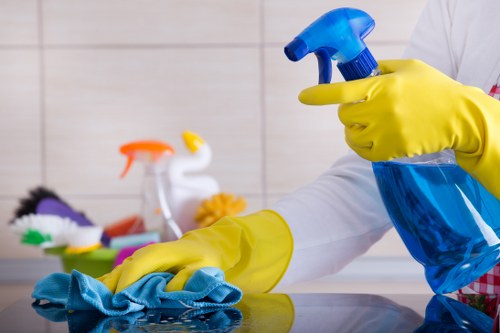 Domestic cleaning in Finchley for a tidy modern living room