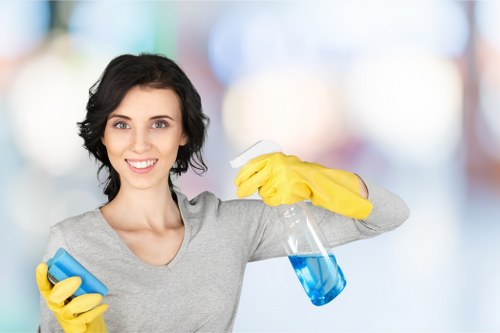 Carpet and oven cleaning service options