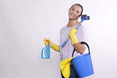 Bright and clear windows after Finchley window cleaning service