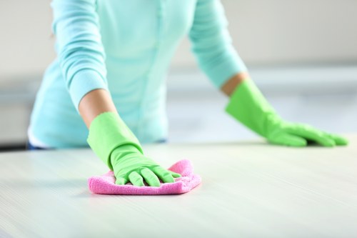 Local house cleaner in Finchley sanitising a bathroom