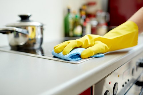 Local Finchley cleaner caring for a bright and organised house