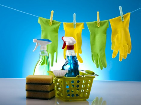 Professional cleaners in Finchley delivering thorough results